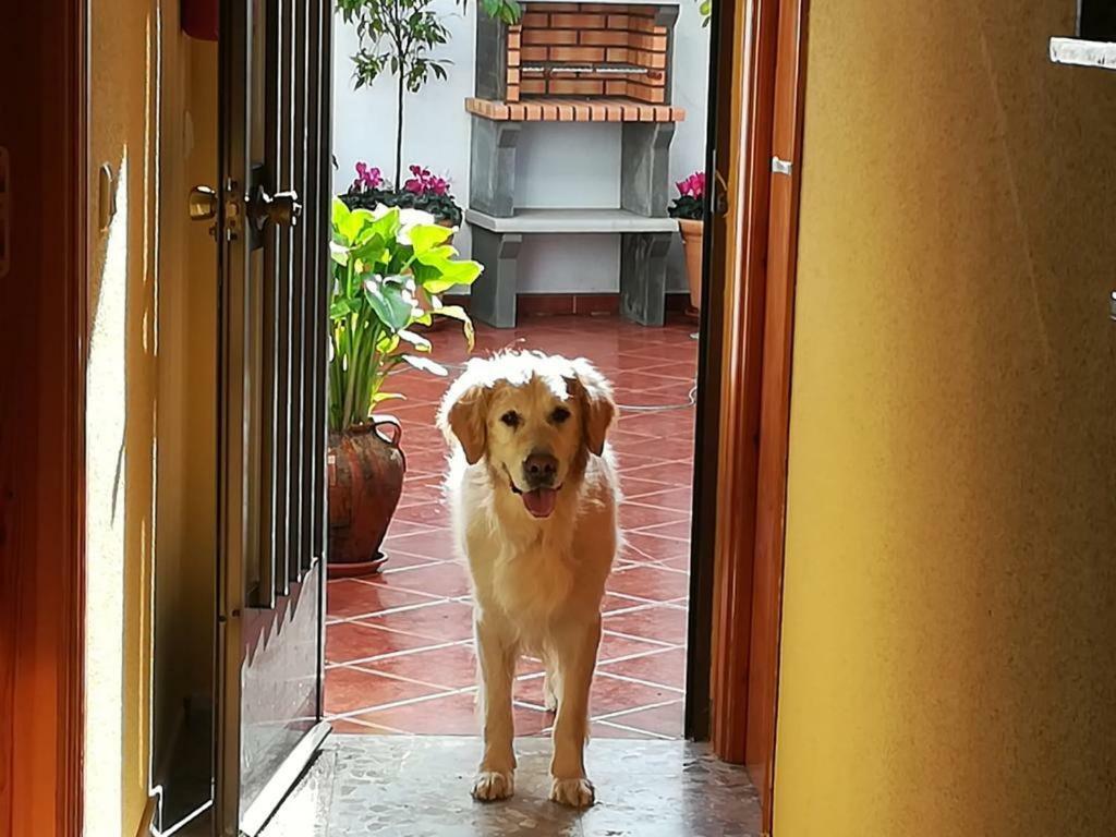 Casa Rural La Herencia Alia Екстер'єр фото